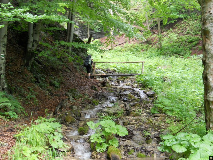 img00113.jpg