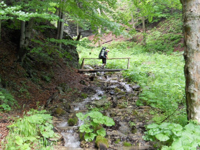img00114.jpg