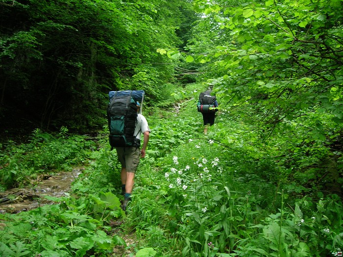 img00118.jpg