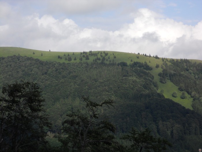 img00129.jpg