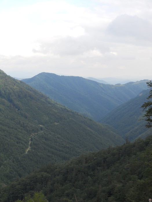 img00131.jpg