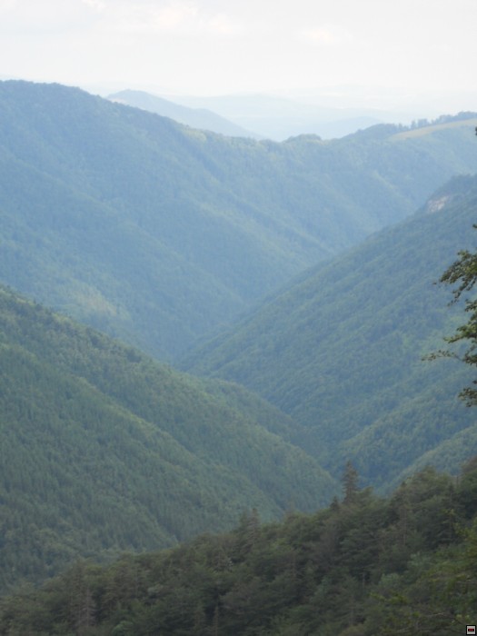 img00132.jpg