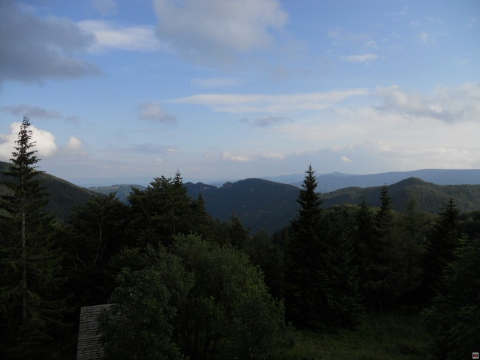 img00145.jpg