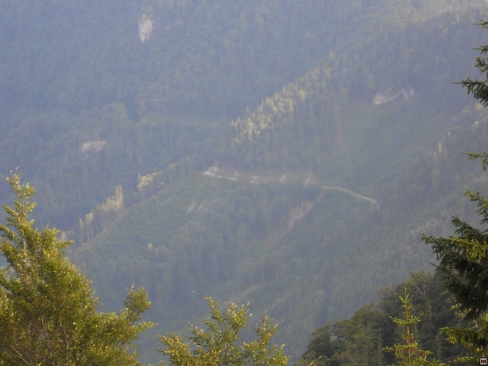 img00147.jpg