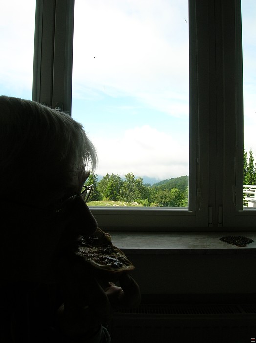 img00169.jpg