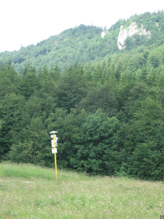 img00175.jpg
