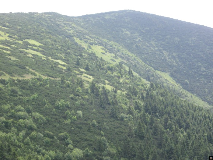 img00179.jpg