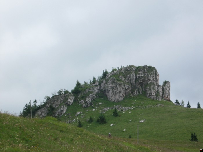 img00182.jpg