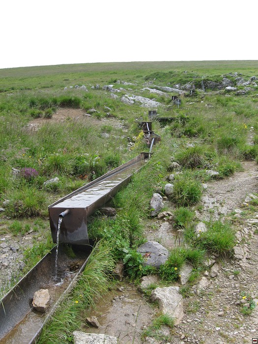 img00186.jpg