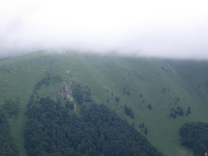 img00190.jpg
