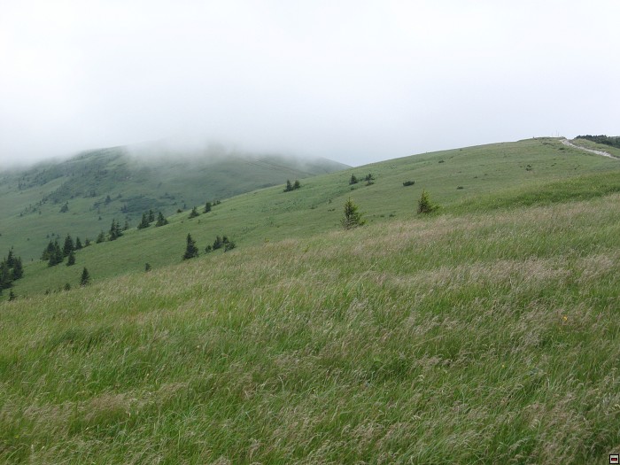 img00191.jpg