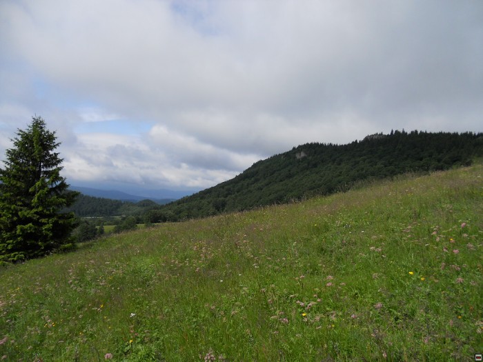 img00196.jpg
