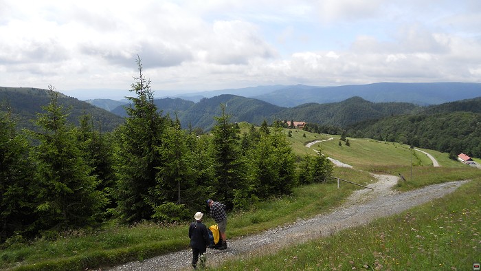 img00197.jpg