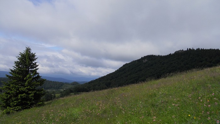 img00198.jpg