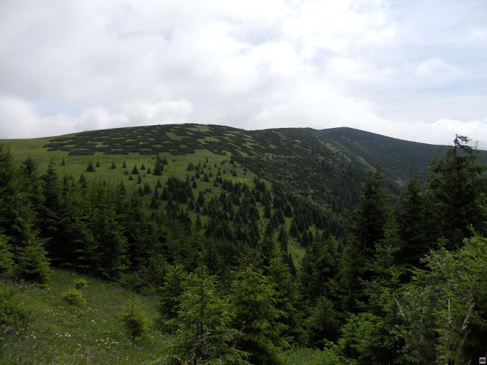 img00200.jpg