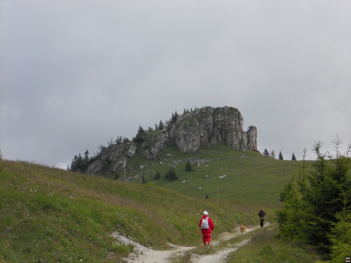 img00201.jpg