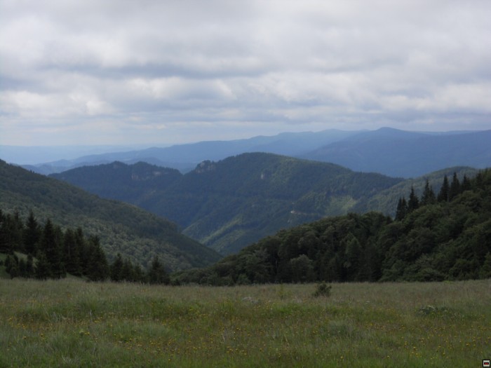 img00203.jpg