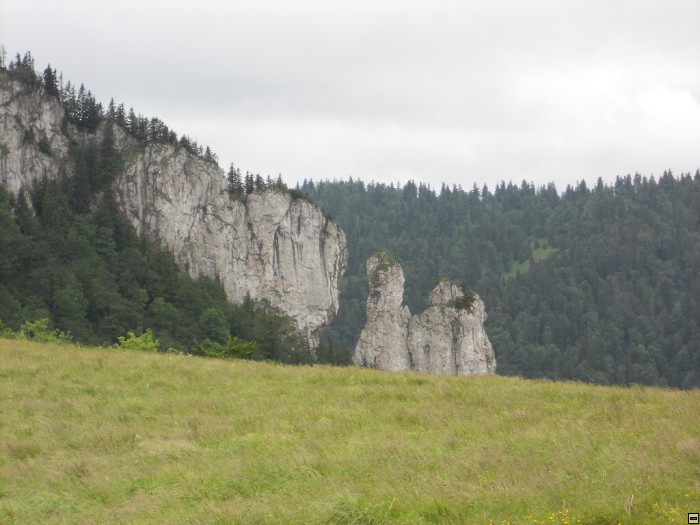 img00205.jpg