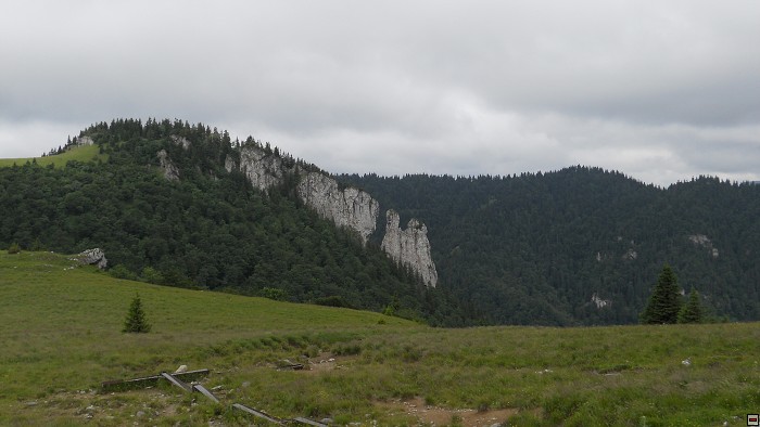 img00210.jpg