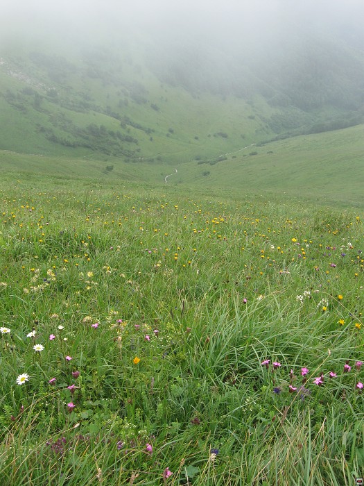 img00217.jpg