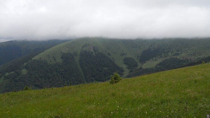 img00219.jpg