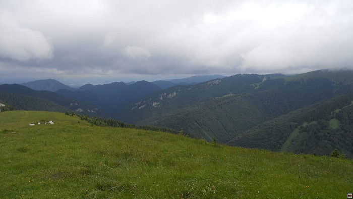img00220.jpg
