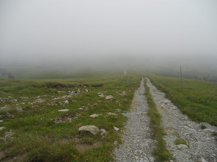 img00227.jpg