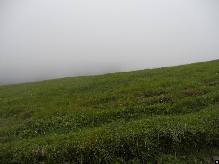 img00228.jpg