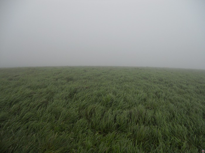 img00248.jpg