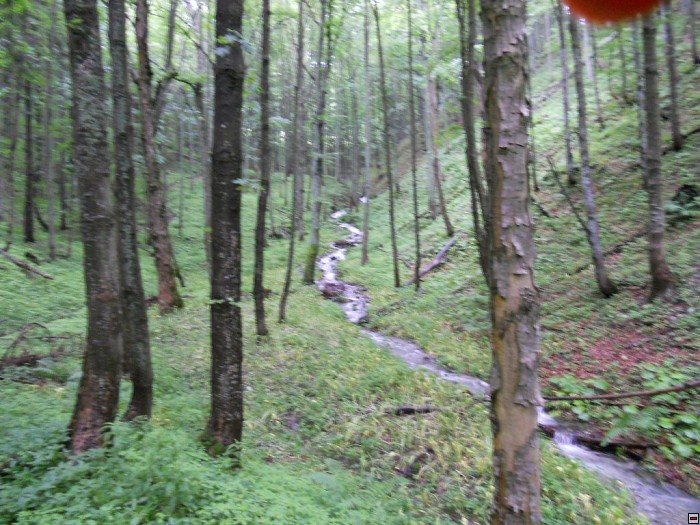 img00265.jpg