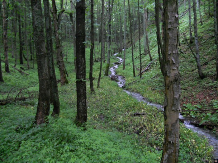 img00266.jpg