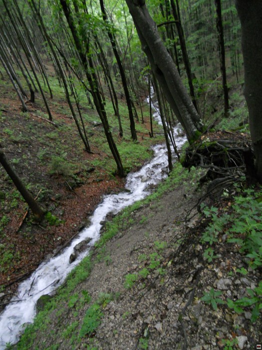 img00267.jpg