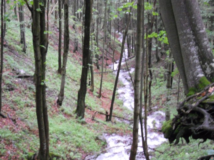 img00268.jpg