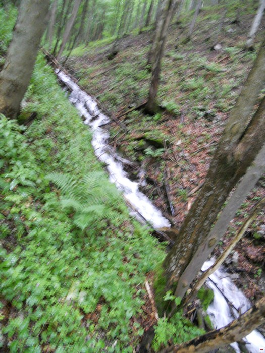img00269.jpg