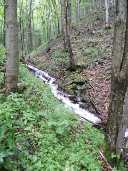 img00270.jpg