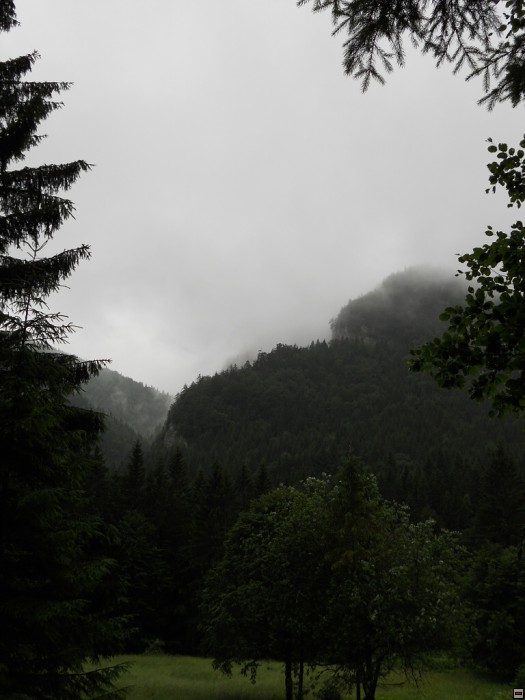 img00271.jpg