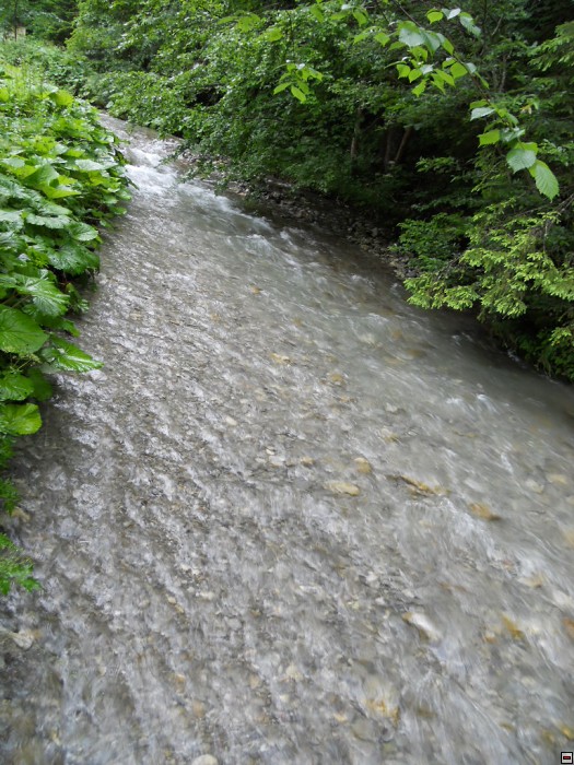 img00276.jpg