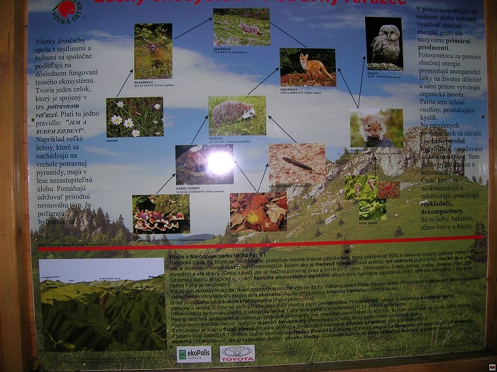img00281.jpg