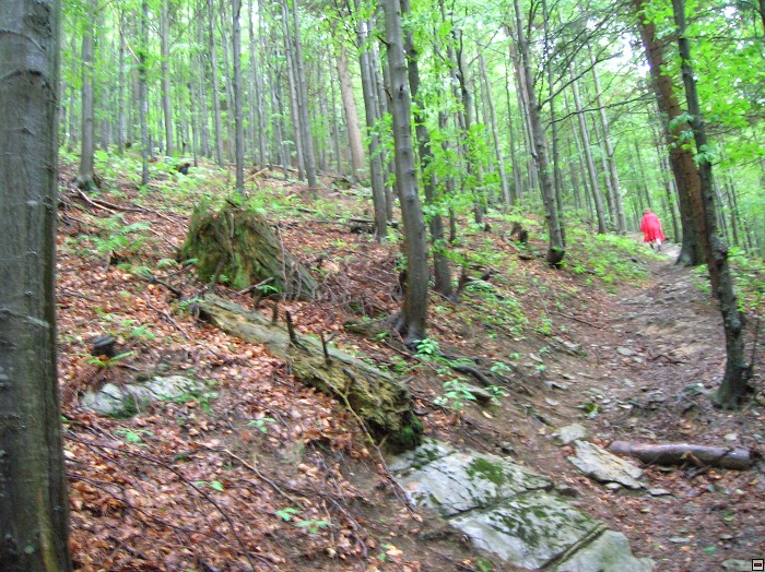 img00284.jpg