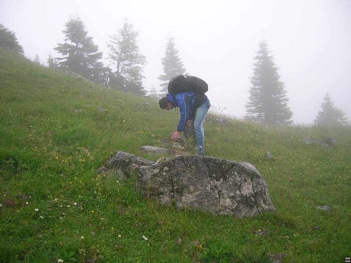 img00286.jpg