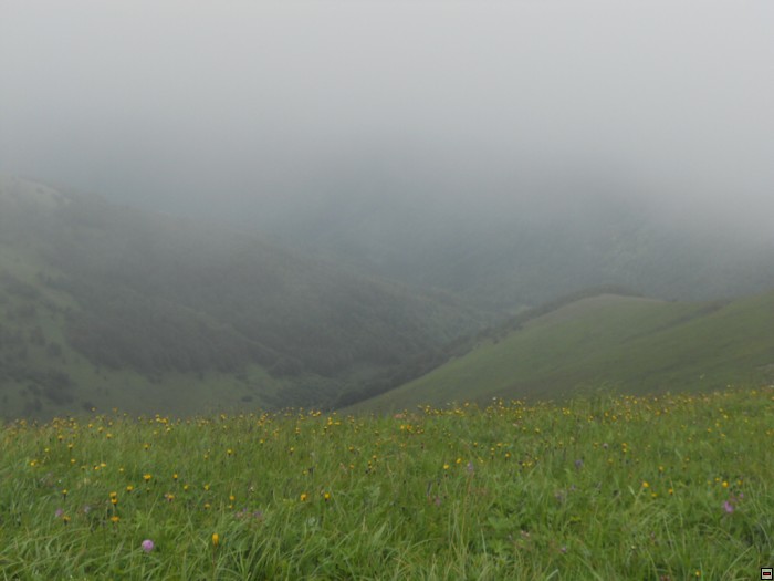 img00297.jpg