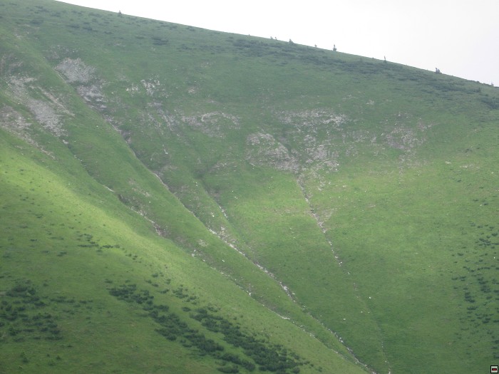 img00299.jpg