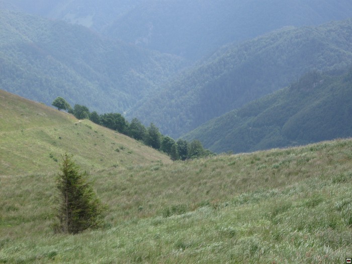 img00300.jpg