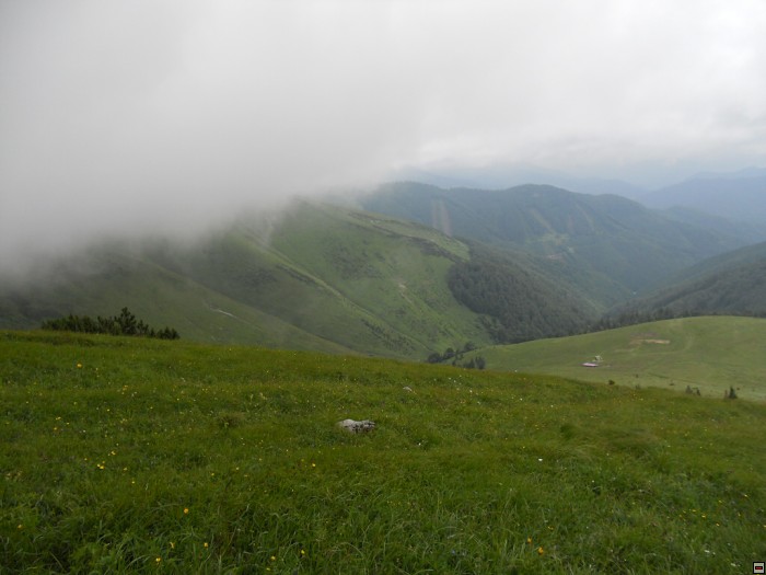 img00303.jpg