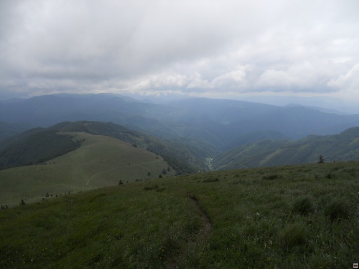 img00304.jpg