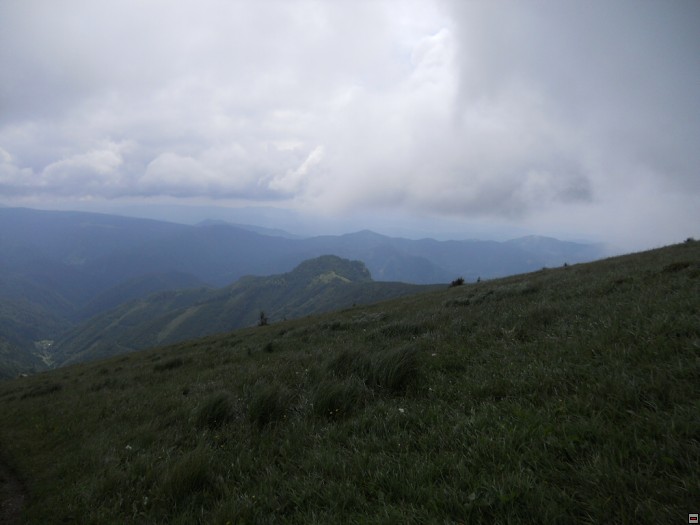 img00305.jpg