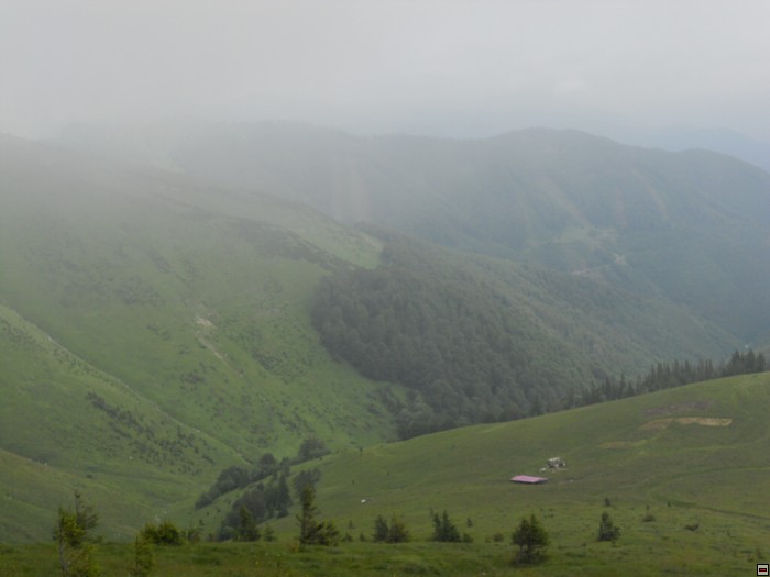 img00307.jpg