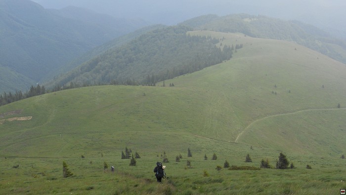 img00308.jpg