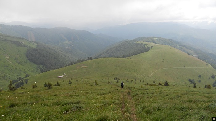 img00309.jpg