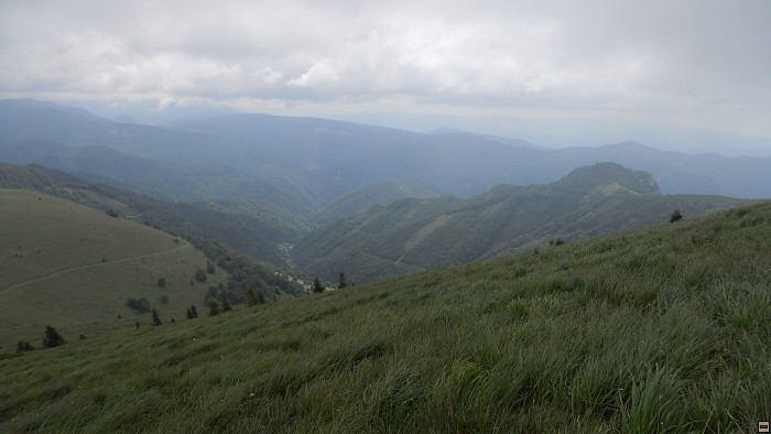 img00310.jpg